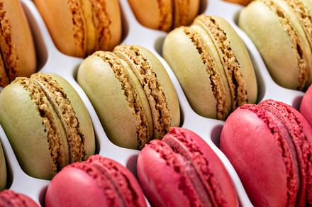 Colorful french macarons in a box, a Food & Drink Photo by farwasser