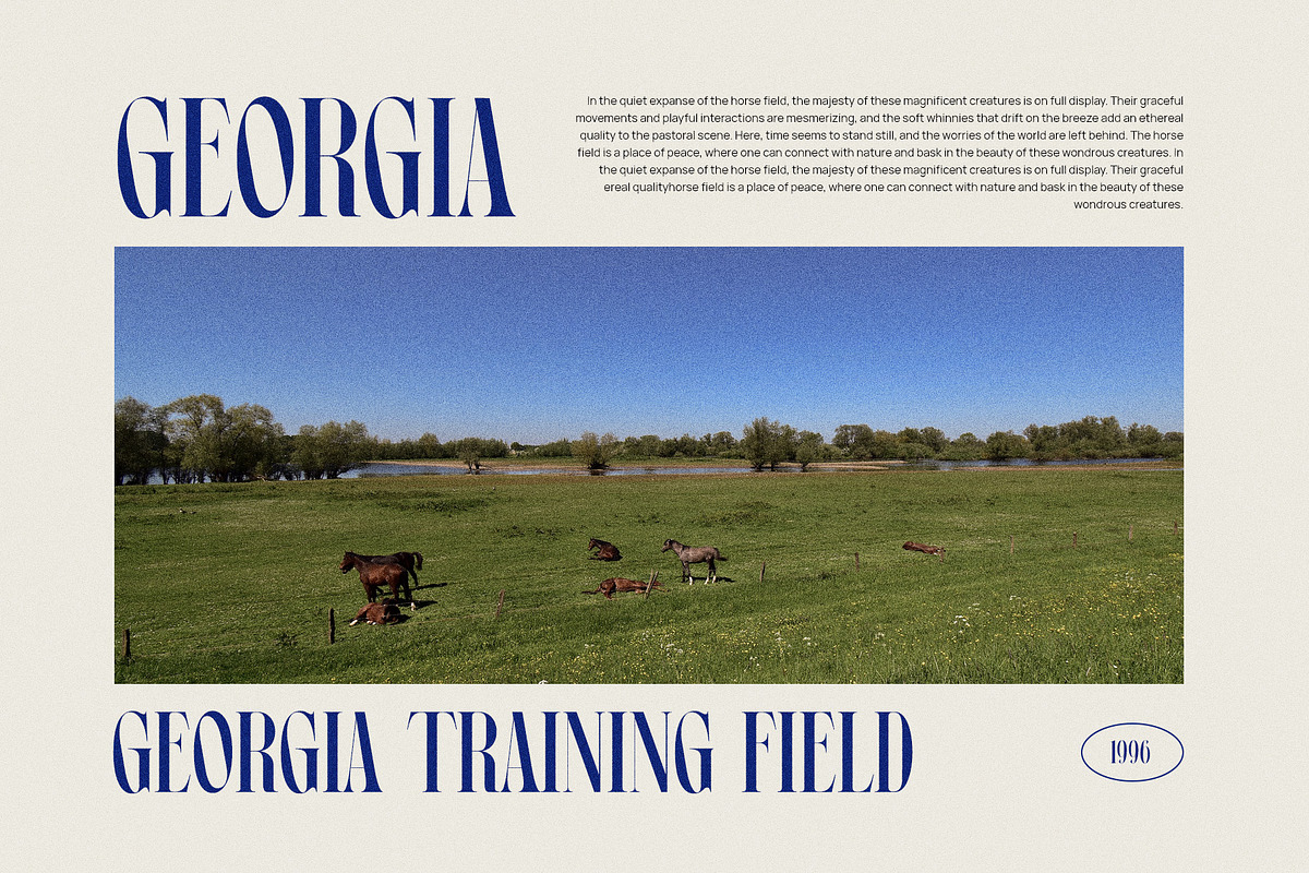 Worgan Elegant Serif Font Typeface, a Serif Font by Graphicxell (Photo 3 of 10)