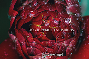 Cinematic Transitions, a Templates & Theme by mdlabdesign (Thumbnail 1 of 2)