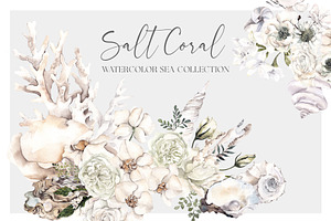 Salt Coral. Sea shell and flowers., an Object Illustration by ma_i_vi
