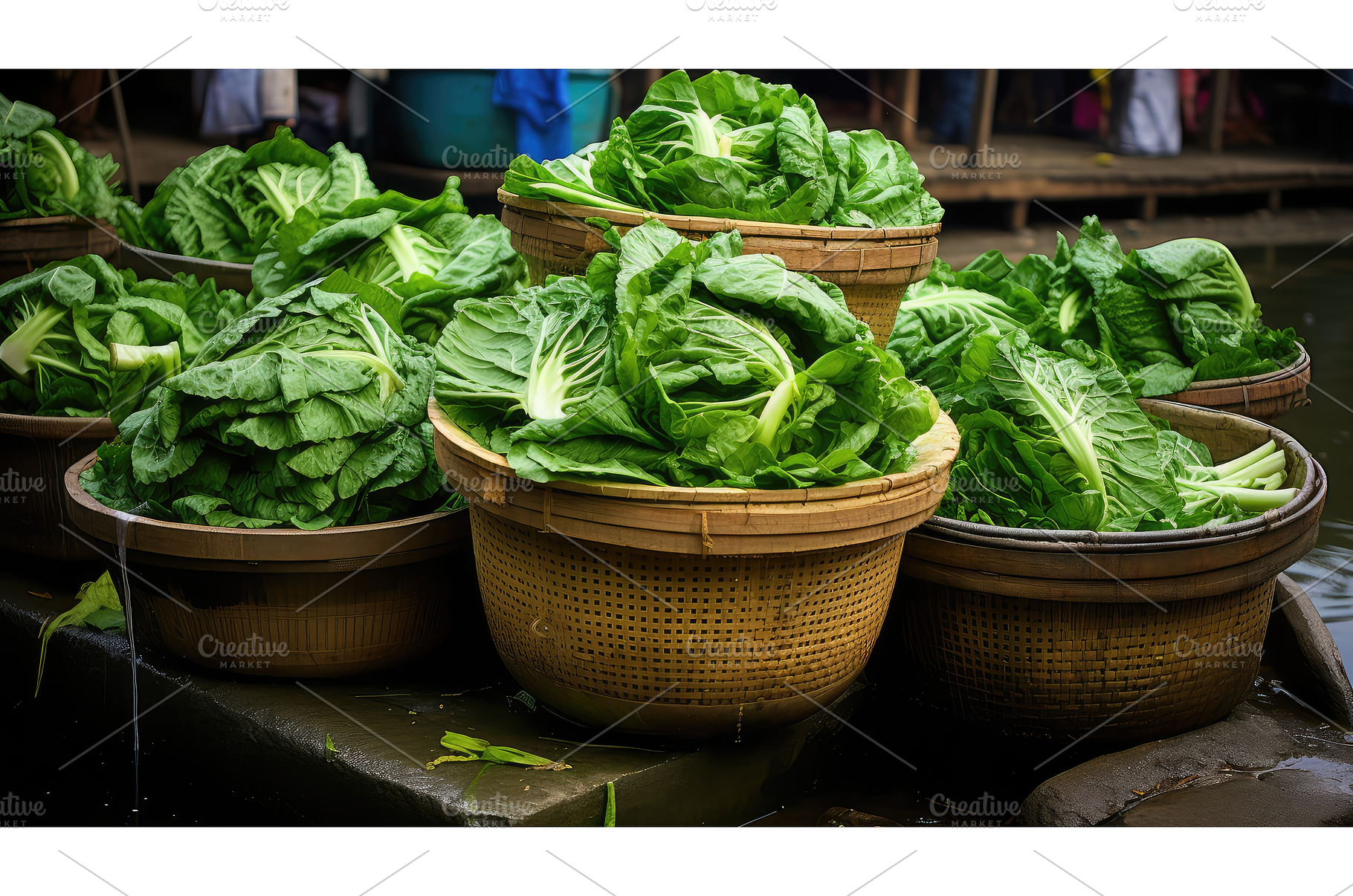vendors water cabbage vegetable ai, a Nature Photo by pikepicture