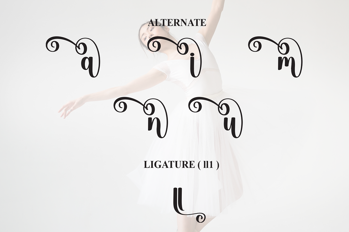 Ballerina | Script Font, a Handwritten Font by Scratchones (Photo 8 of 9)