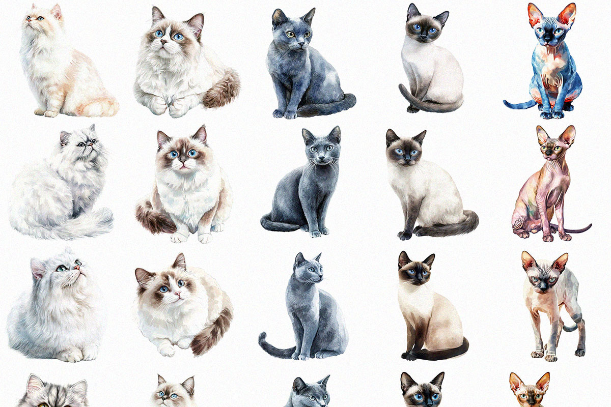 Watercolor Cats Clipart Pack (PNG), an Animal Illustration by DesignBTF (Photo 6 of 8)