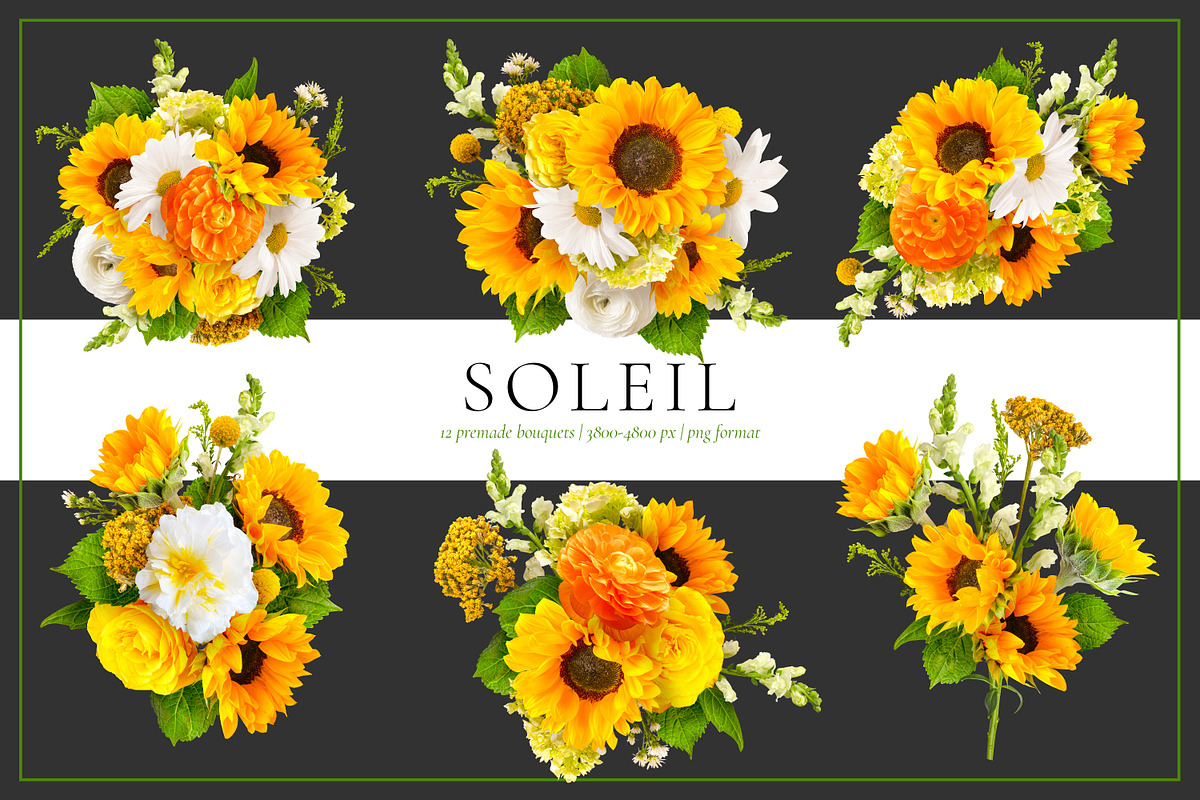 Soleil Floral Patterns & Clip Art, an Object Graphic by Eclectic Anthology (Photo 10 of 13)