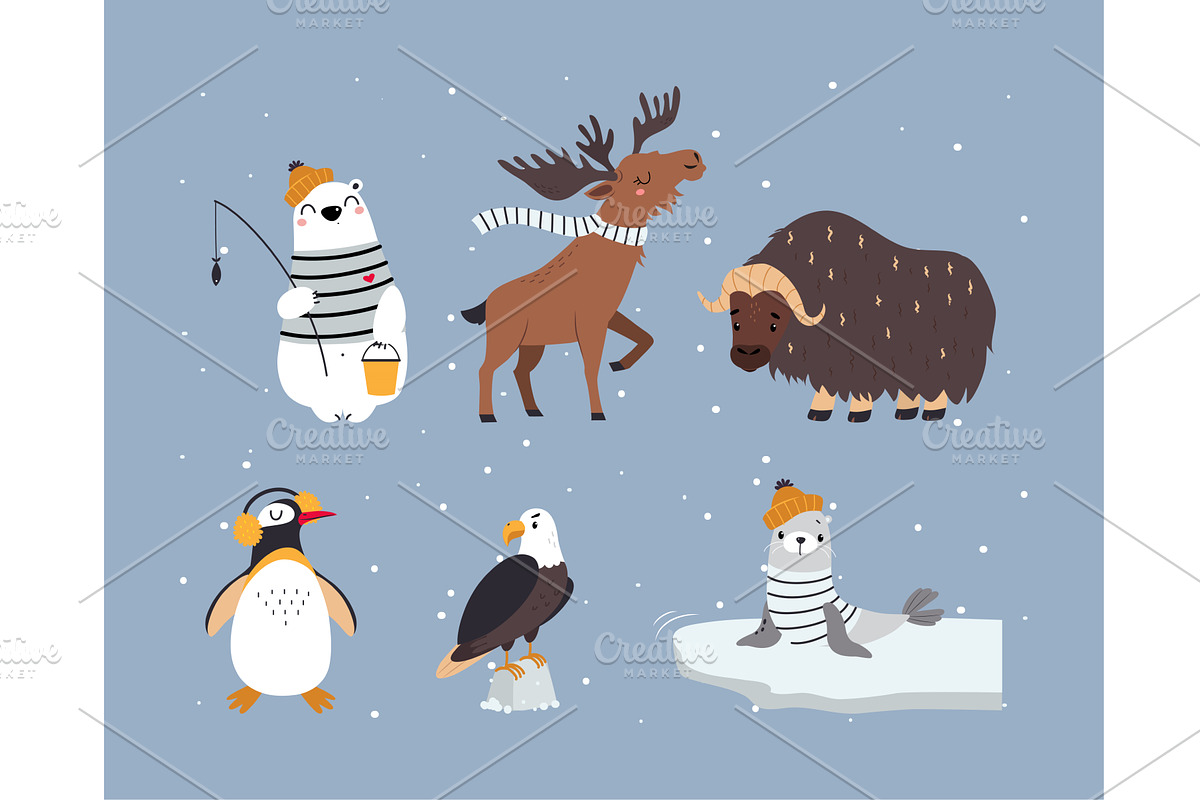 Cute Arctic Animal from Northern, an Animal Illustration by TopVectors