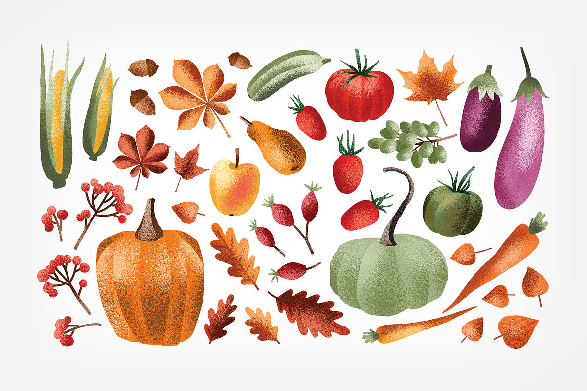 Autumn harvest textured elements, a Food Illustration by Good Studio (Photo 2 of 9)
