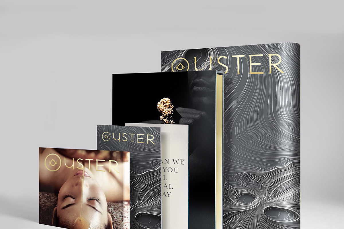 Nishi. Chic, modern sans serif font, a Sans Serif Font by LostandFoundry (Photo 3 of 7)