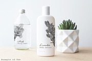 Fresh Herbs Line Drawings & Patterns, an Illustration by kittyShark Creative (Thumbnail 2 of 9)
