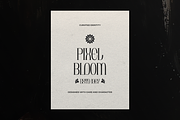 Brunelis Noctelle Display Serif Font, a Handwritten Font by gracetype_studio (Thumbnail 7 of 12)