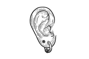 Ear With Earrings Sketch Vector