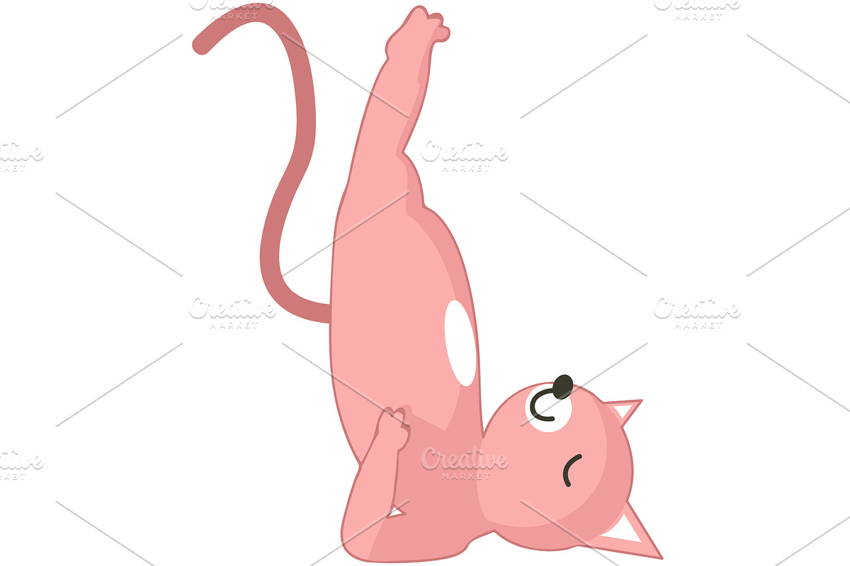 Yoga cat in sarvangasana birch pose, an Animal Illustration by SiberianArt