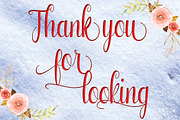 Annabeth, a Script Font by StudioRz (Thumbnail 6 of 6)