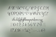 Rubynt, a Script Font by Digital Typeface Studio (Thumbnail 2 of 8)