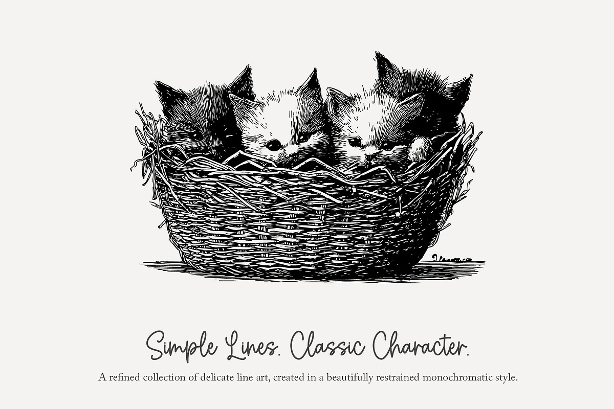95 line art Cats clip art, an Animal Illustration by Poppy Lane Studio (Photo 4 of 12)