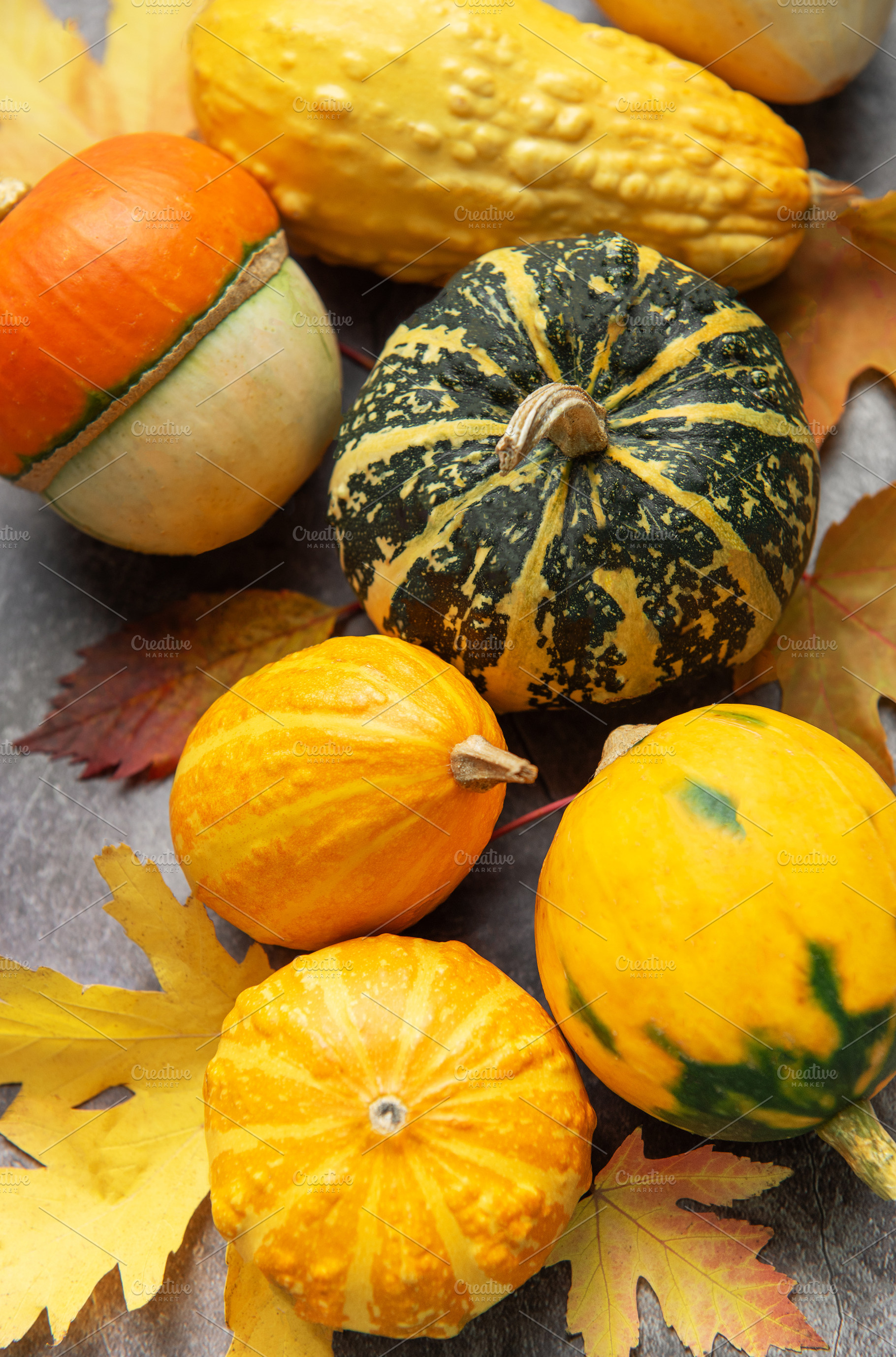 Autumn gourds pumpkins and squash decorating a fall setup, a Food & Drink Photo by Olena Rudo