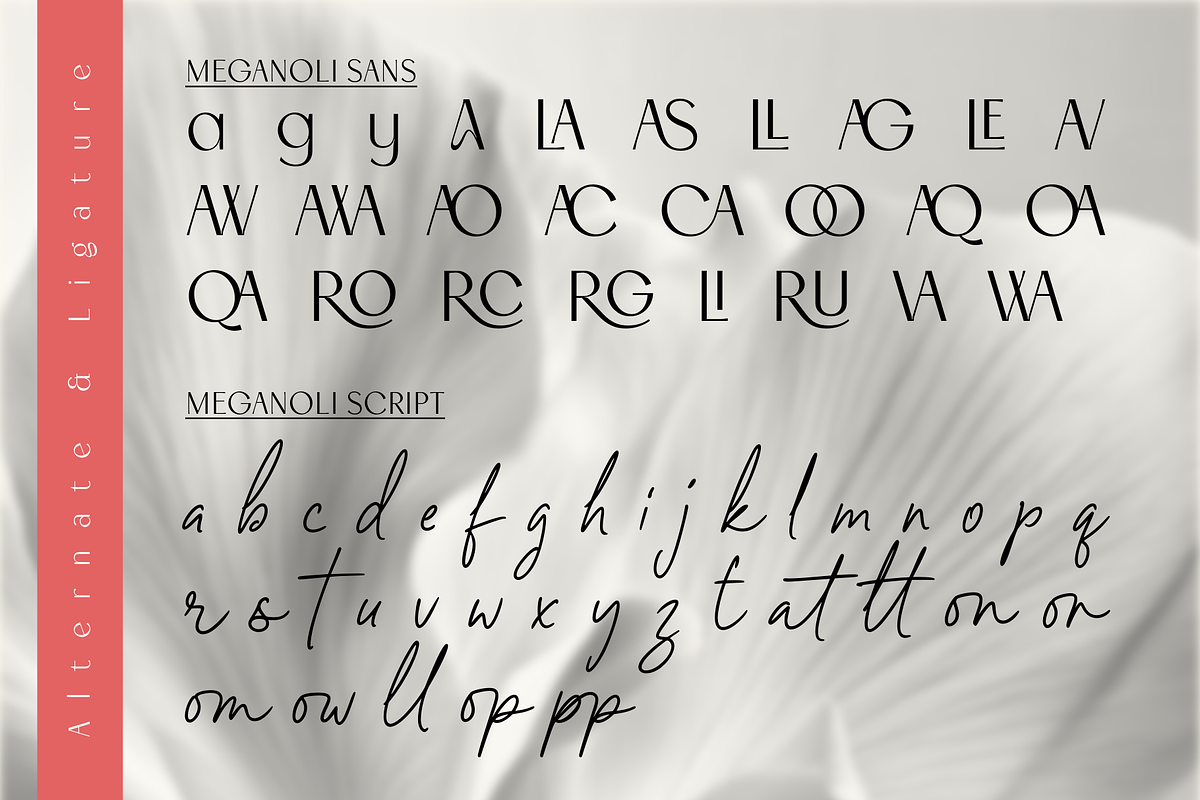 Meganoli - A Modern Font Duo, a Sans Serif Font by Ainun Jinan (Photo 6 of 13)