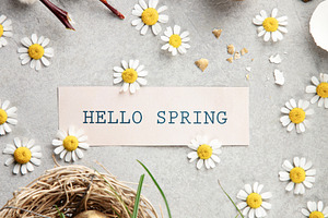 Hello Spring Card with Golden Easter Eggs Nest and Daisies, a Holiday Photo by Natalia Klenova's Shop