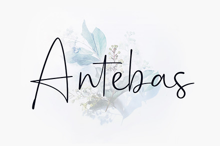 Antebas - Hand Display Script