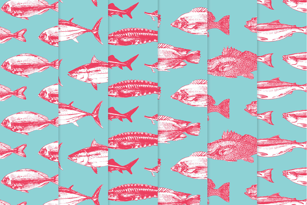 Fish, an Animal Illustration by Vera Holera (Photo 4 of 7)