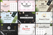 1200 Premade Logos Mega Bundle, a Branding & Logo Template by XpertgraphicD (Thumbnail 2 of 60)