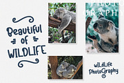 Koalakuu - Playful Font, a Script Font by NTC Graphic (Thumbnail 5 of 9)