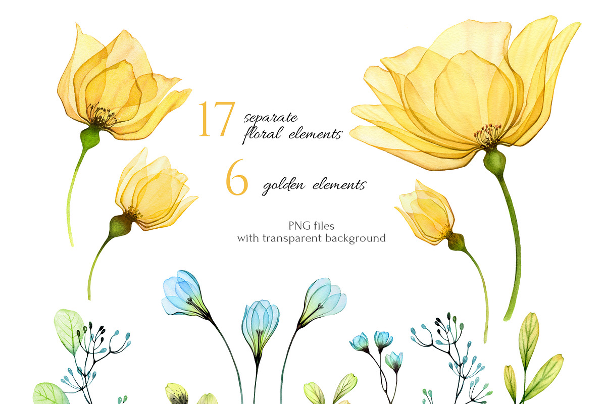 Ukraine. Watercolor floral set, a Decorative Illustration by Akvarelldesign (Photo 6 of 7)