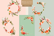 Bellini Floral Clip Art Collection, an Object Graphic by Eclectic Anthology (Thumbnail 15 of 17)