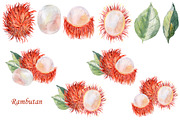 Watercolor tropical fruits., an Illustration by TaPilipa (Thumbnail 36 of 39)