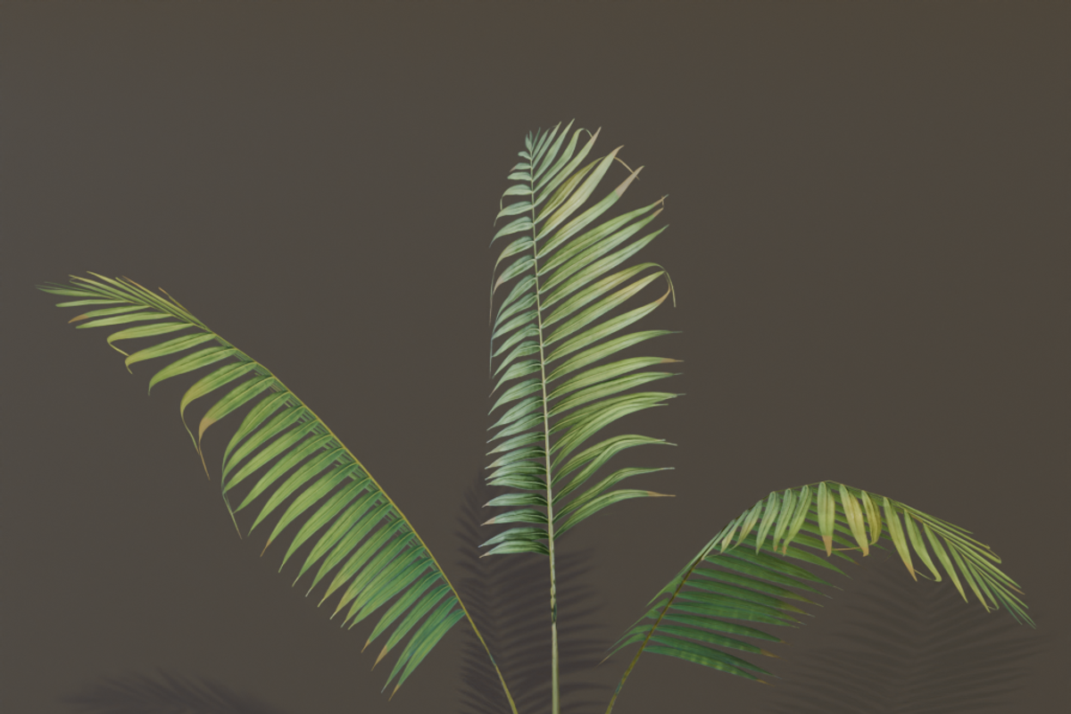 A small palm bush, a Plants & Tree 3D Model by FuturePastCreatives (Photo 4 of 5)