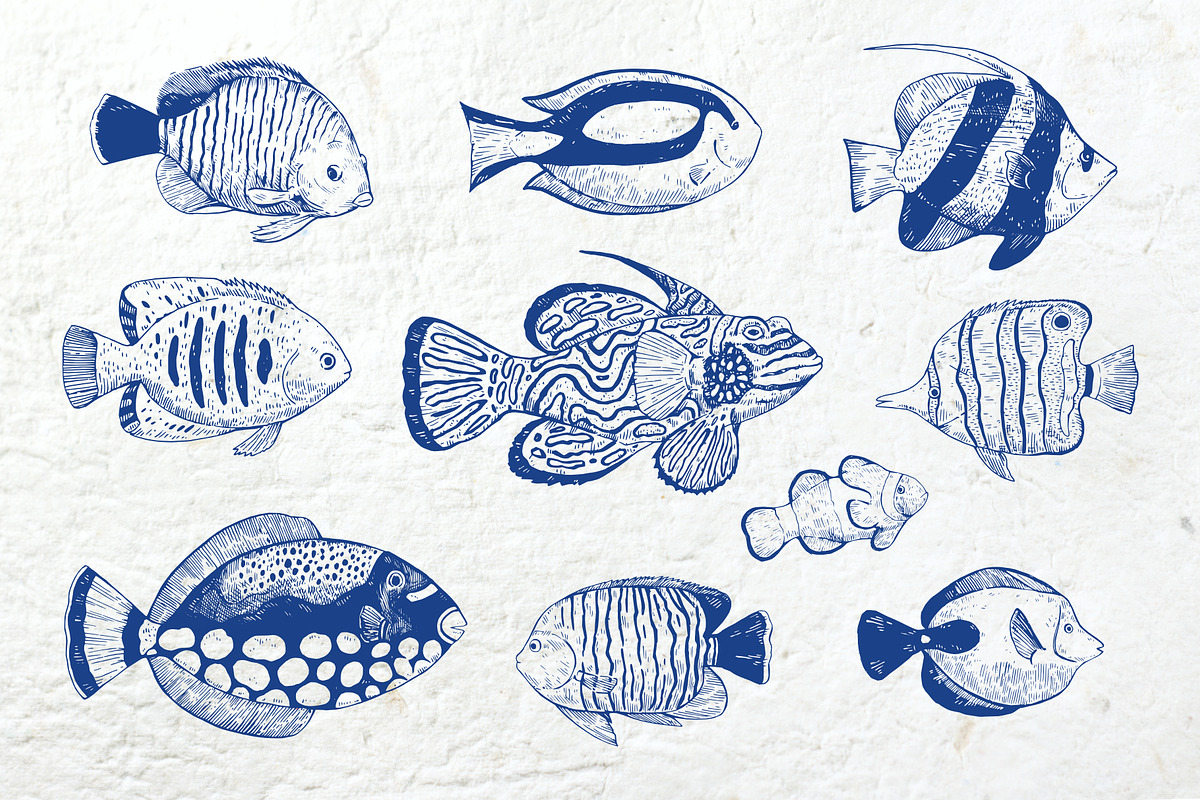 Coral gardens. Patterns collection, a Pattern Graphic by Robusta (Photo 13 of 16)