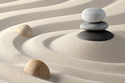 Zen Garden. 31 images, a Healthcare Illustration by Handmadefont (Thumbnail 3 of 10)
