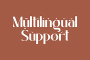 Badger Valley Modern Sans Serif, a Sans Serif Font by Heinzel Std (Thumbnail 9 of 13)