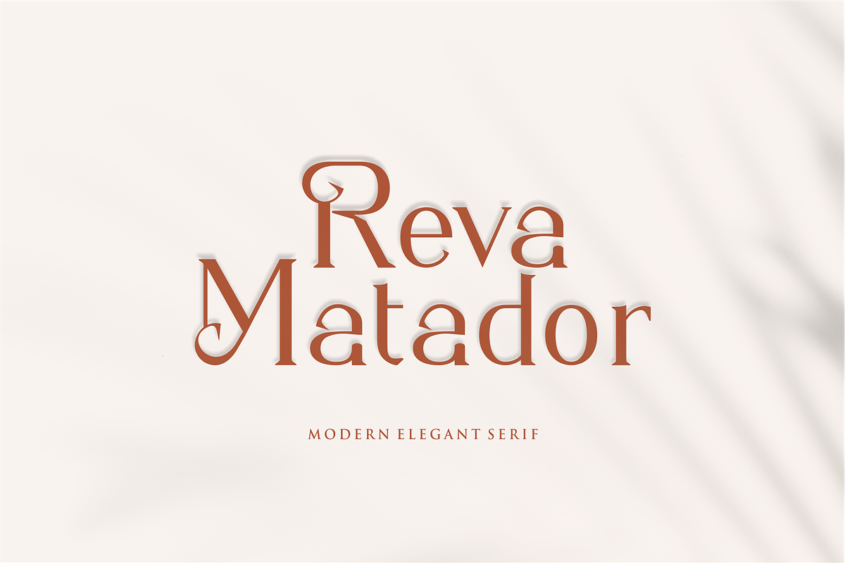 Agata - Modern Elegant Serif, a Serif Font by Vroz Studio (Photo 8 of 11)