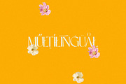 Anemone - Elegant & Modern Sans, a Sans Serif Font by Mikhail Kitsune (Thumbnail 8 of 8)