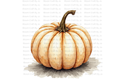White Ghost Pumpkin, a Decorative Illustration by Bloom Craft Creations (Thumbnail 6 of 12)