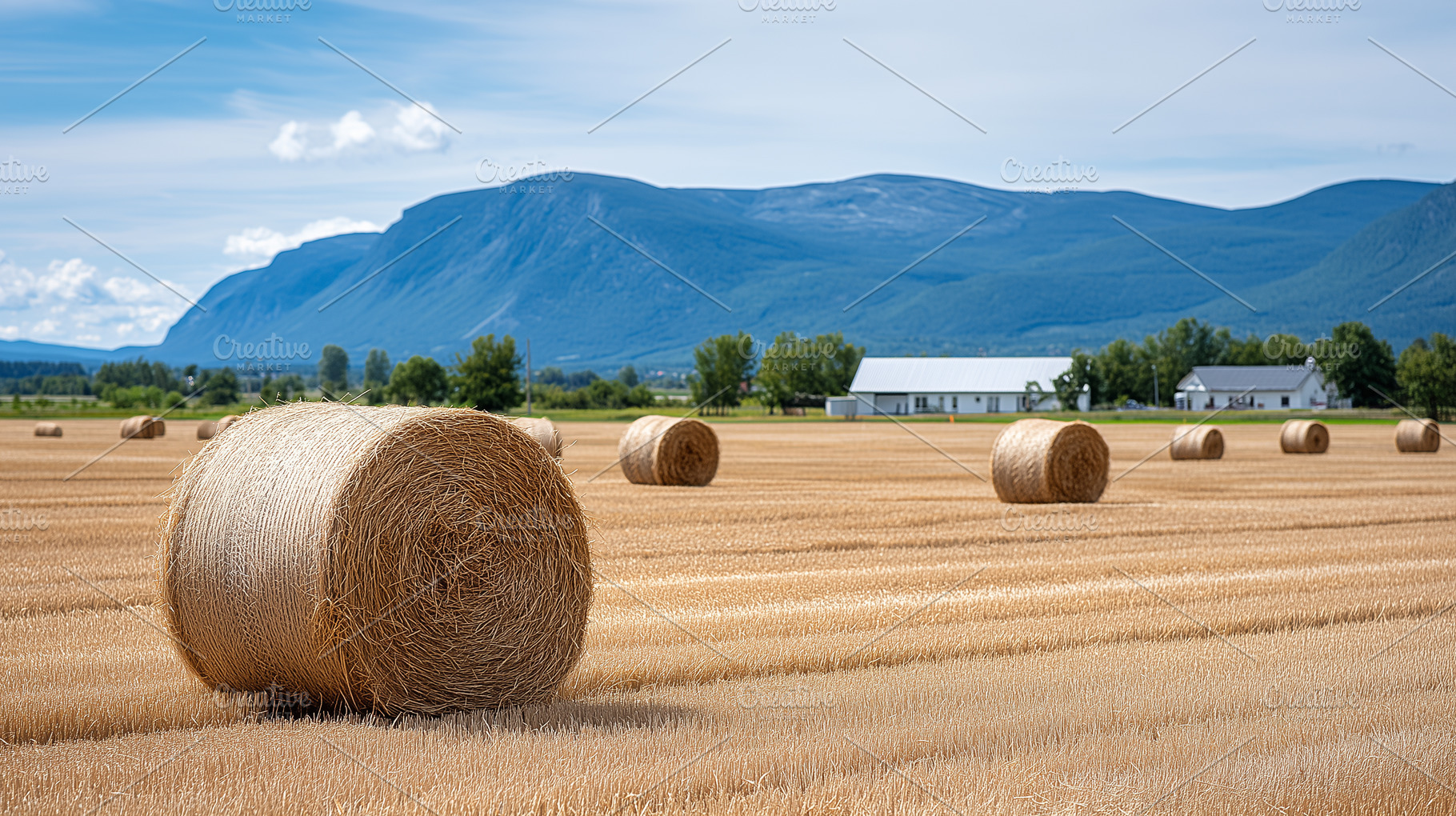 Golden hay bales scattered across, a Nature Photo by MistyDay