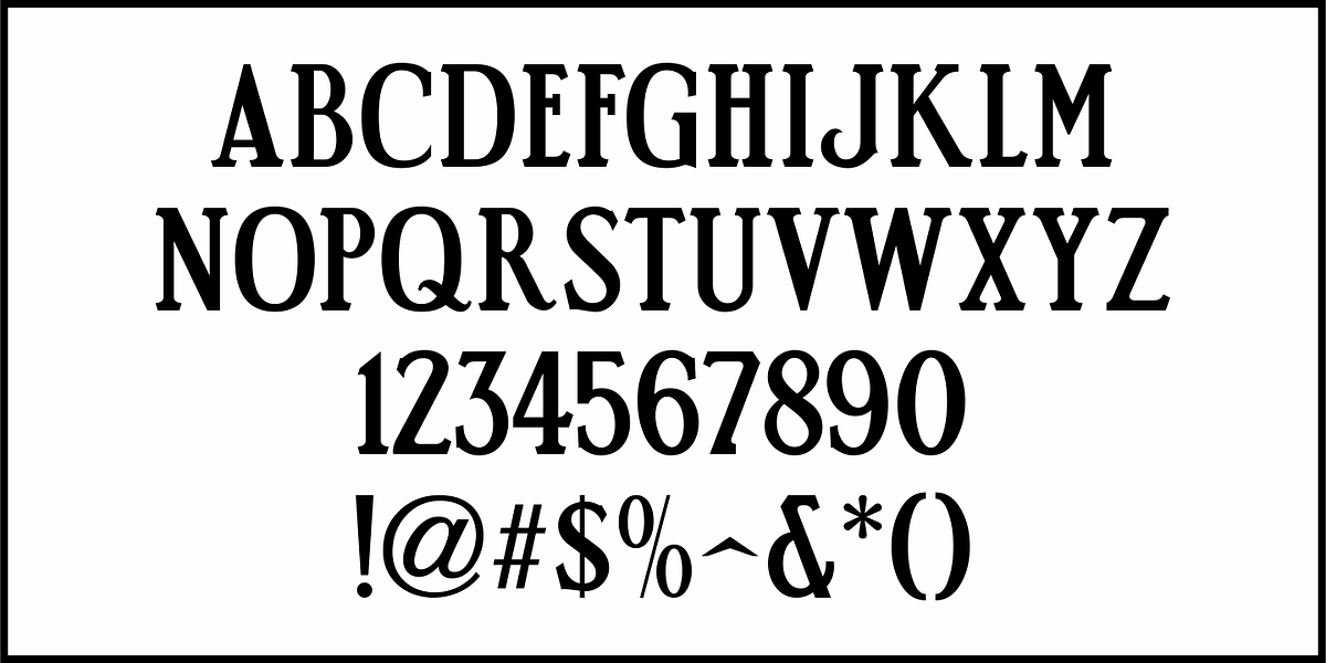 Screen Hero JNL, a Serif Font by Jeff Levine Fonts (Photo 3 of 5)