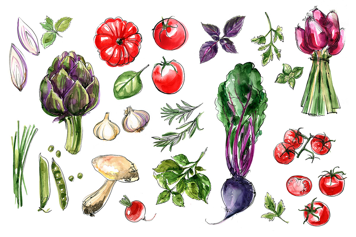 Food watercolor. Vegetables, a Food Illustration by irina.vaneeva (Photo 20 of 25)