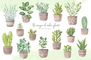Watercolor indoor plants., an Illustration by BrushArtDesigns (Thumbnail 2 of 5)