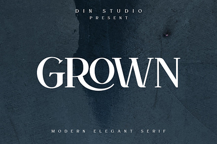 GROWN-Modern Display Font, a Serif Font by din-studio.com