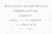 Hamilton // Classy Calligraphy Font, a Script Font by Pen Culture (Thumbnail 11 of 12)