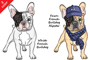 French Bulldog Collection