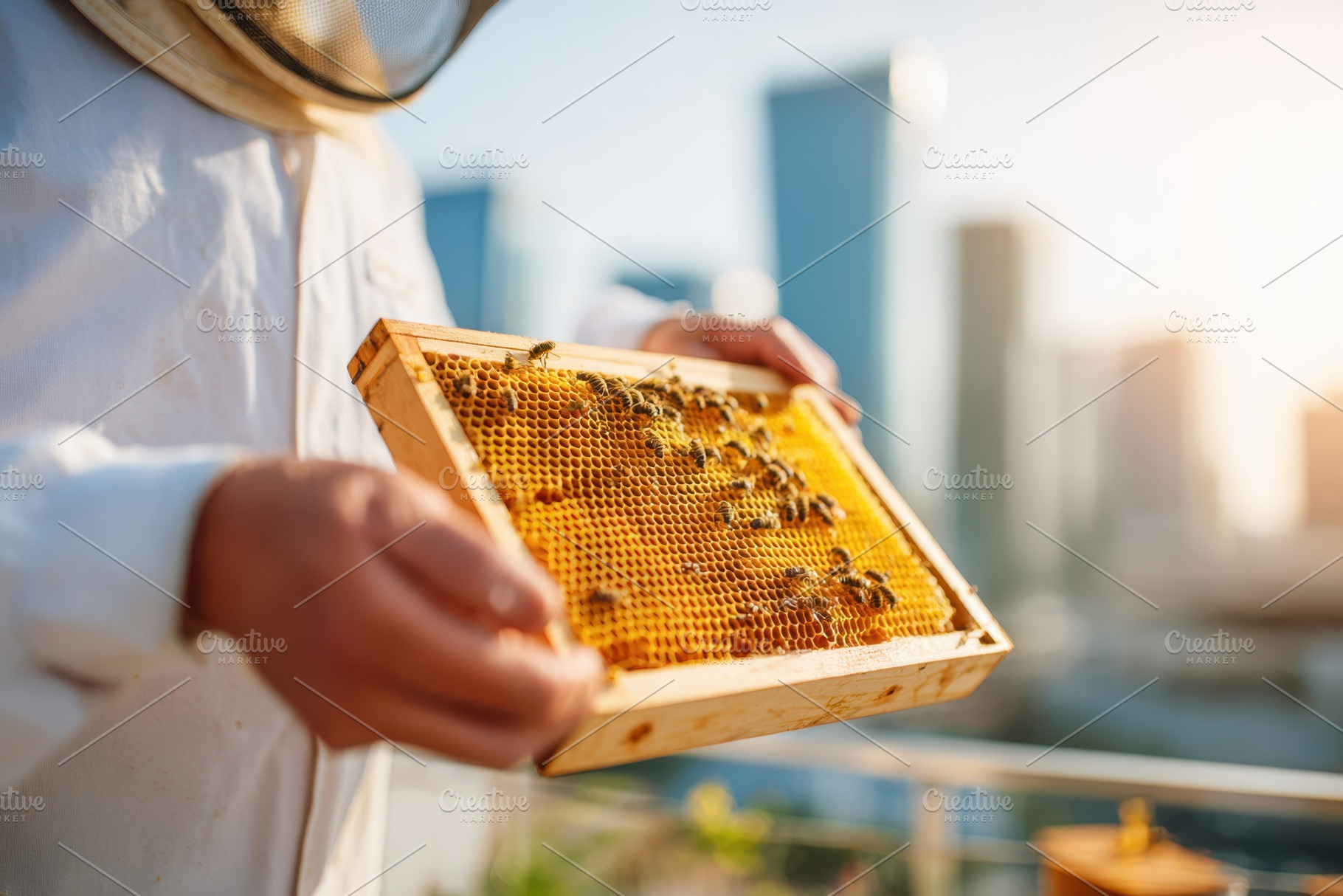 Beekeeper with honeycomb frame in urban setting, an Animal Photo by AlyaAnd