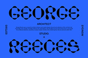 Display Font Collection, a Slab Serif Font by Tropical Type (Thumbnail 25 of 46)