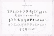 Moonlight Script, a Script Font by Anatadesign (Thumbnail 5 of 10)