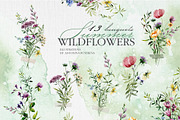 Watercolor set of wildflowers, an Illustration by RushkinaAntonina (Thumbnail 3 of 8)
