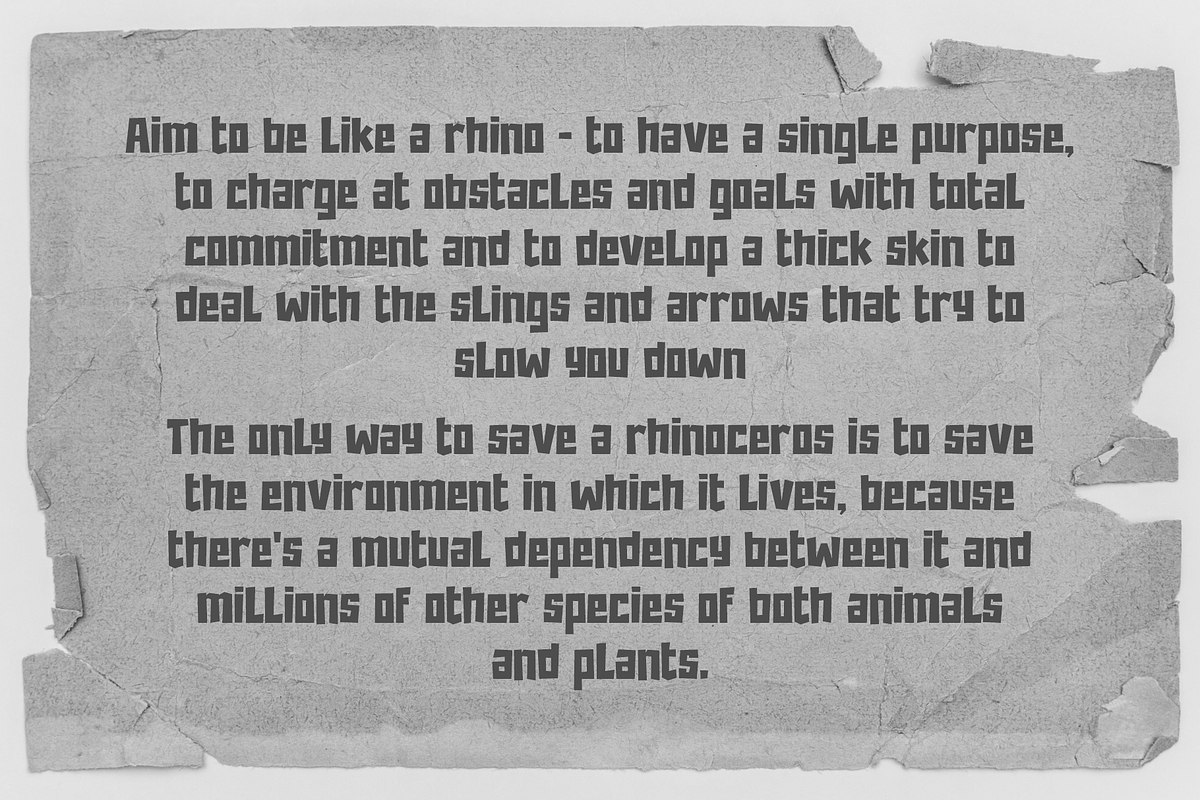 Rhino, a Sans Serif Font by almazstudio (Photo 5 of 8)