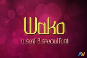 Wako, a Serif Font by Wakoletras (Thumbnail 1 of 3)
