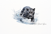 Elegant Black Panther Watercolor Set, an Illustration by New-School-Wave (Thumbnail 2 of 5)