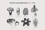 Mushrooms Vector Illustration Set, an Object Illustration by Yevheniia (Thumbnail 5 of 14)